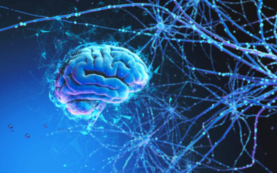 Neurális hálózatok: a kapcsolat az emberi idegrendszer és a mesterséges intelligencia közt